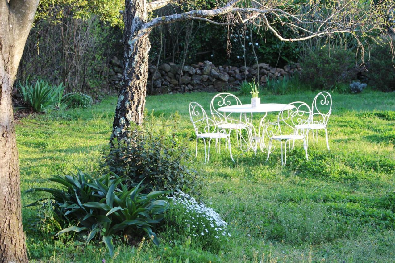 Mas Les Romarins, 10 Min D'Uzes, Piscine Et Grand Jardin Clos, Jeux, Nid De Repos Et Base Pour Activites Dans Le Gard (Adults Only) Екстериор снимка